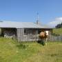 bei_der_laubensteinalm.jpg